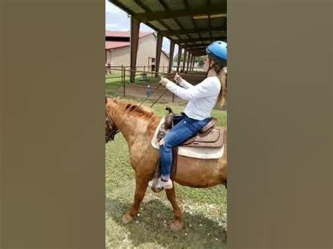 take my horse on youtube